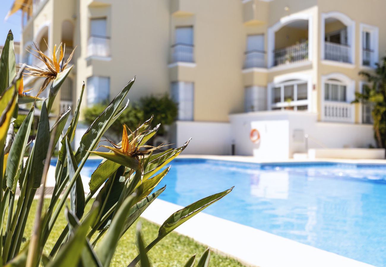 Ferienwohnung in Javea - Jardines Del Sol