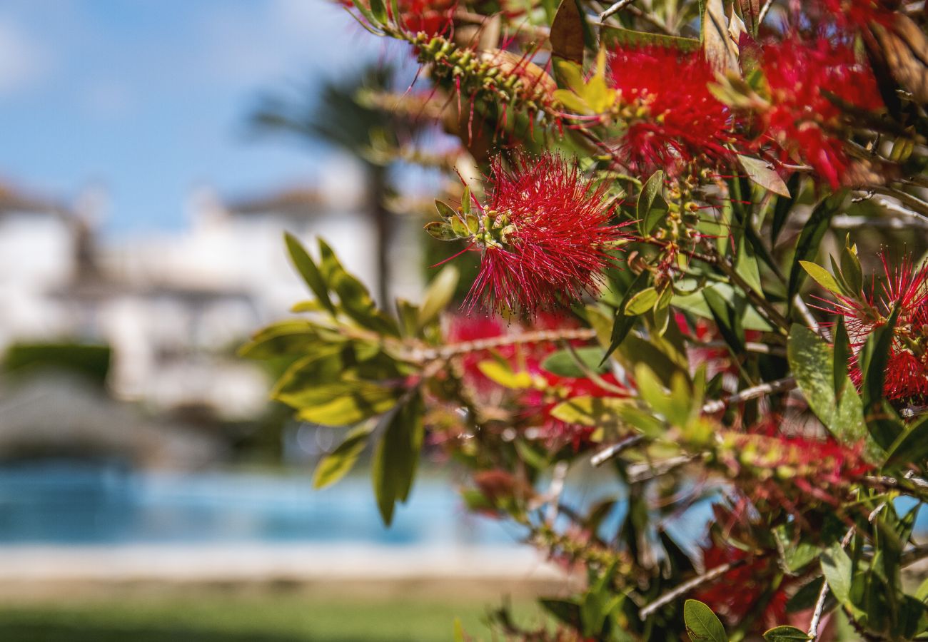 Ferienwohnung in Javea - La Isla Penthouse