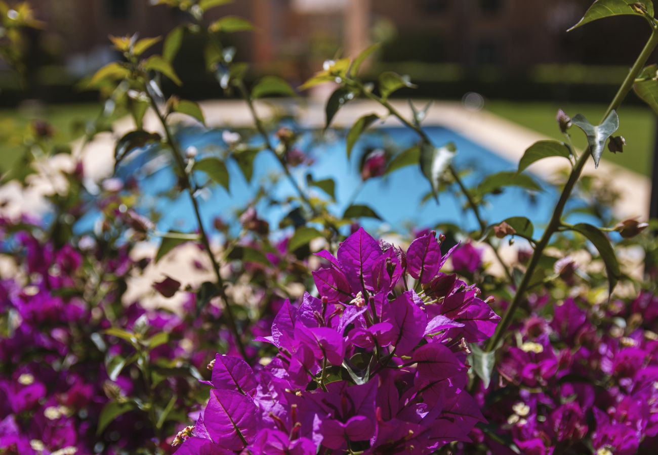 Ferienwohnung in Javea - Floridamar Mimosa