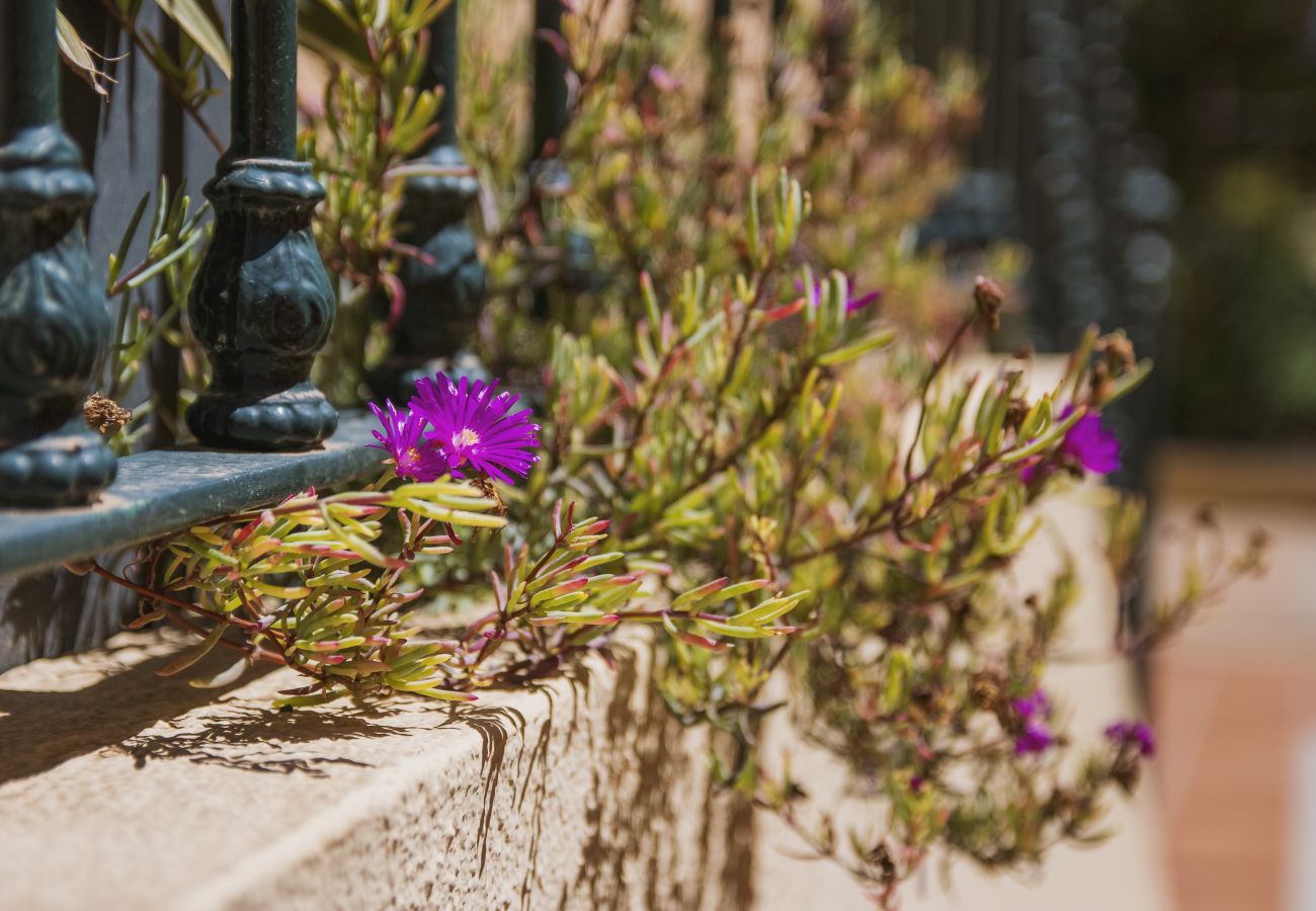 Ferienwohnung in Javea - Floridamar Mimosa