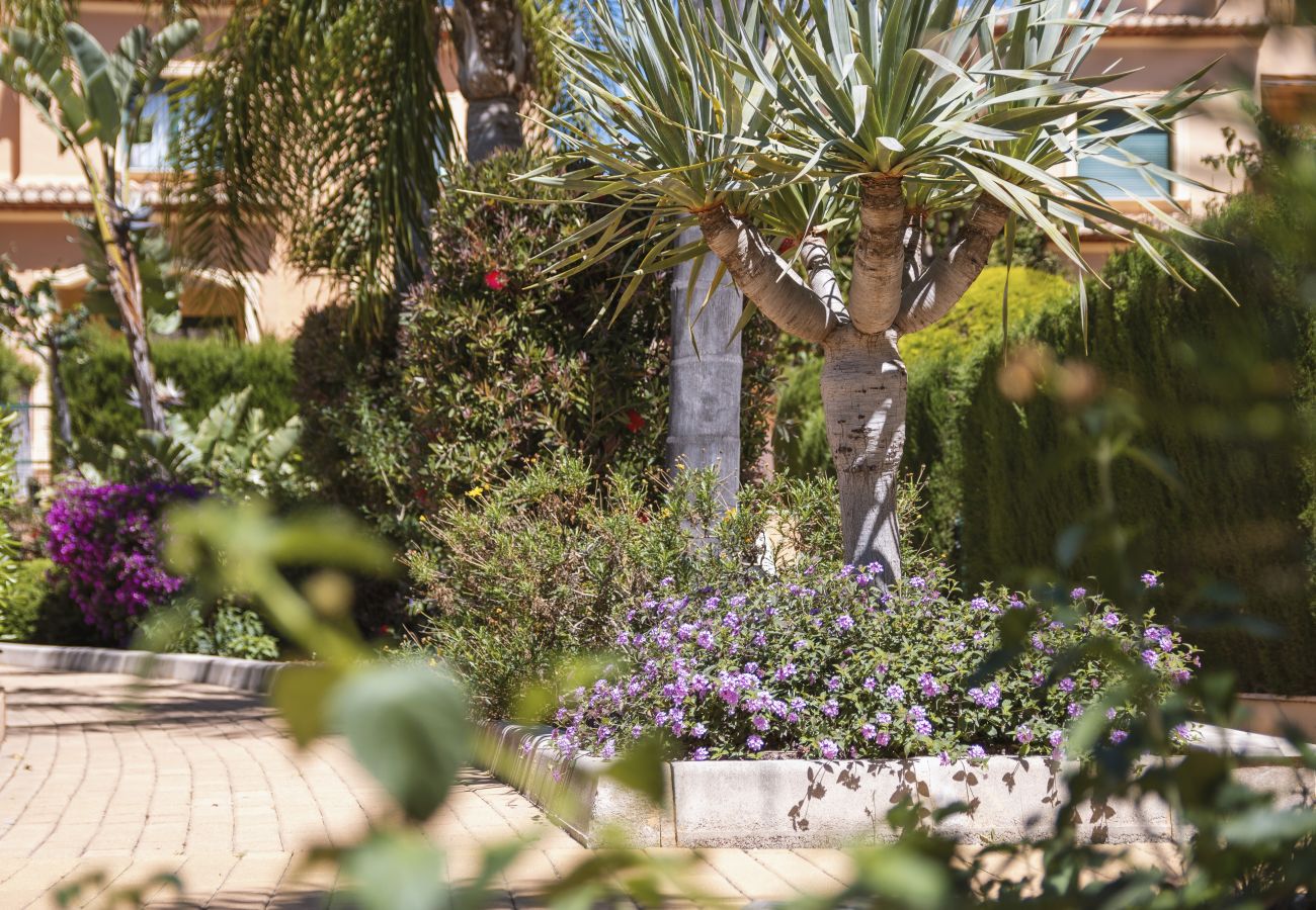 Ferienwohnung in Javea - Floridamar Mimosa