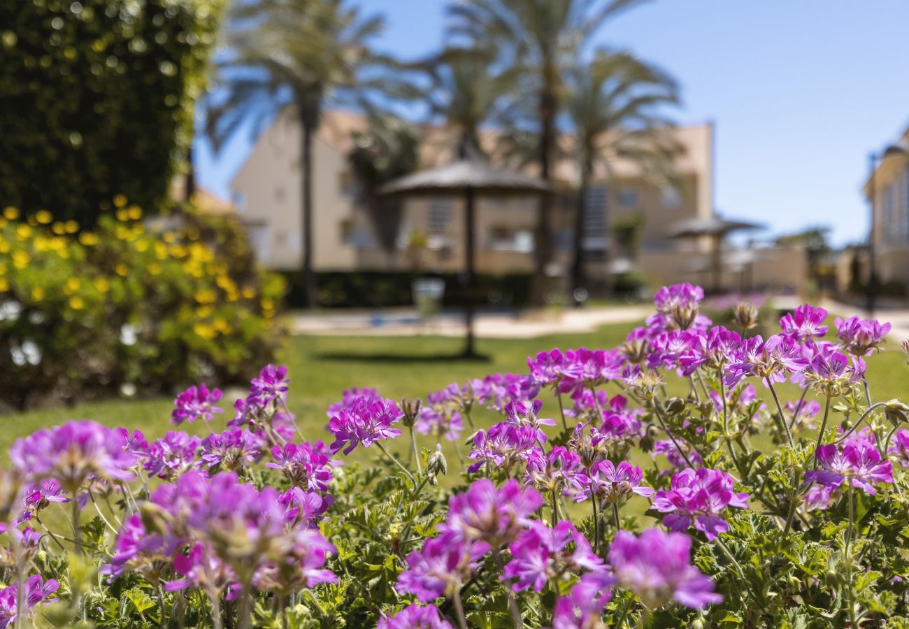 Ferienwohnung in Javea - El Patio - Golden Beach