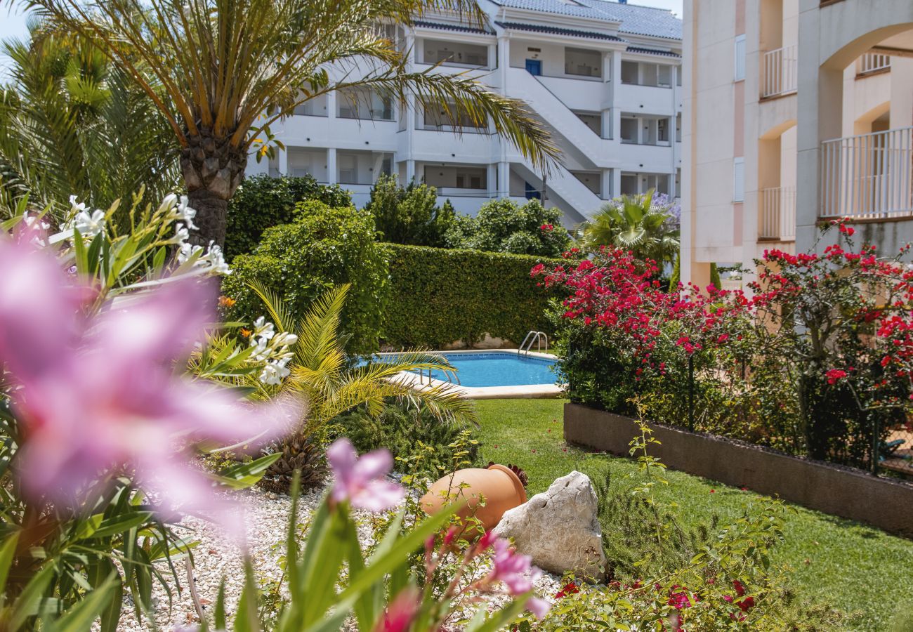 Appartement in Javea - Blue Marlin