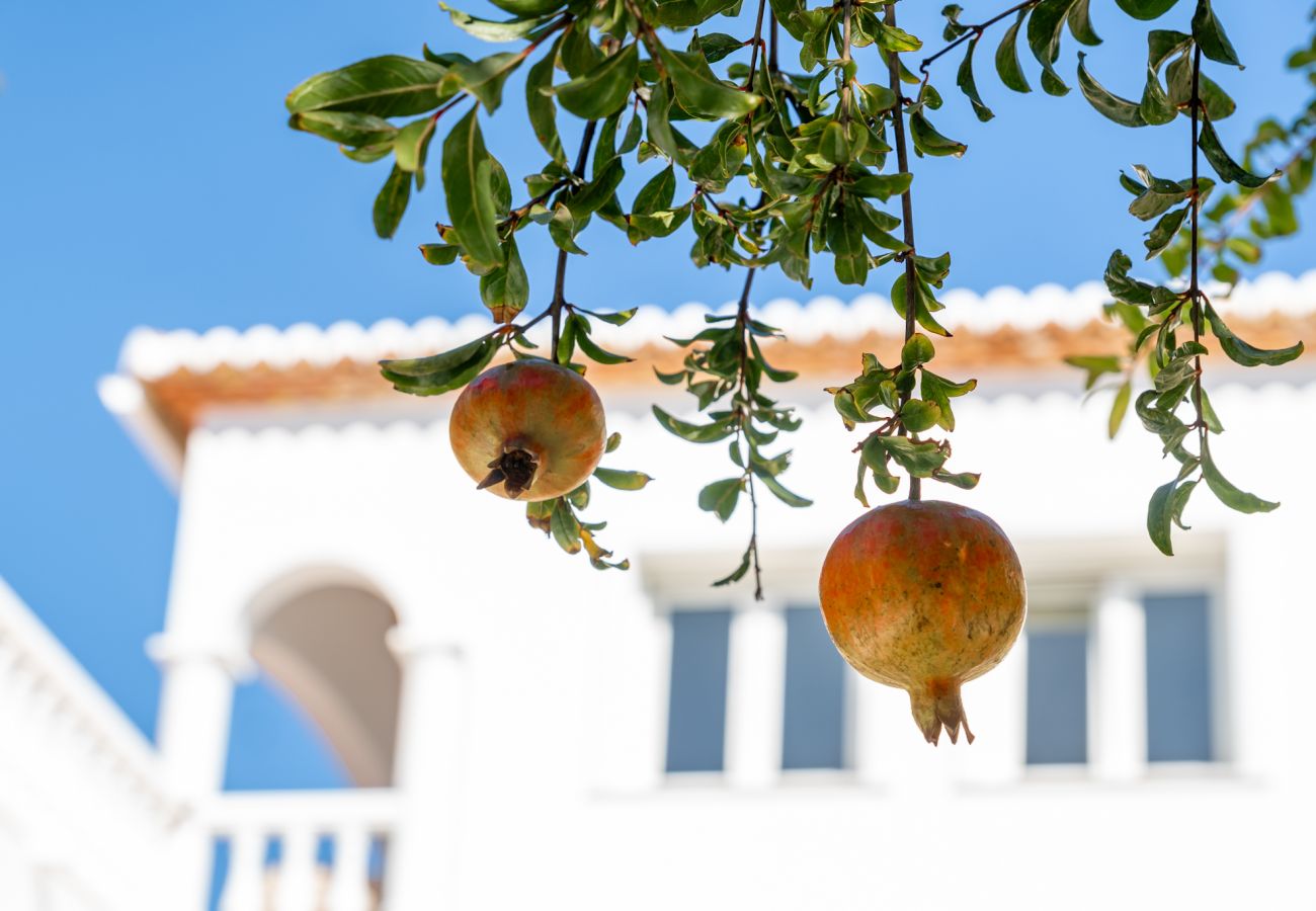 Villa in Javea - Casa Iris